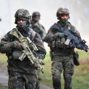 Кітель Бундесверу (ЗС Німеччини), Flecktarn, GR 7