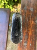 IMG_2316.jpeg