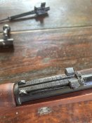 IMG_2319.jpeg