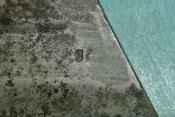 DSC_1560.JPG