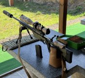 IMG_5355.jpeg