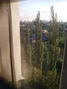 IMG_20240810_193739.jpg