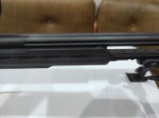 IMG_20240808_213951.jpg