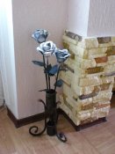 CIMG0672.jpg