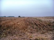DSC02125.JPG