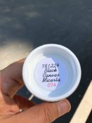 IMG_4889.jpeg
