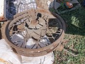 IMG_20240816_125058.jpg