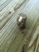 IMG_20240816_162153.jpg