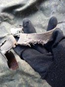 Лот різного з кацапських позицій