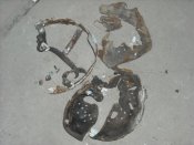 DSCN7440.JPG