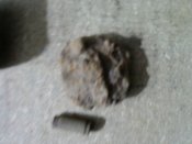 PIC_0006.JPG