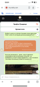 IMG_1734.png
