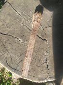 IMG_20240826_170651.jpg