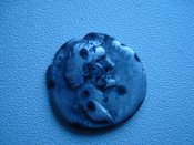 DSC07846.JPG