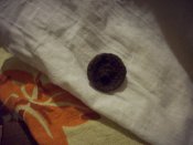 100_1309.JPG