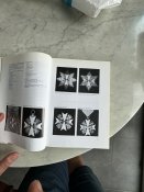 IMG_4694.jpeg