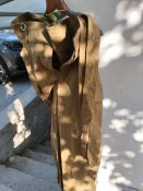 IMG_20240816_074436.jpg