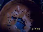 100_7289.jpg