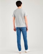 levis-2.jpg