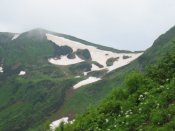 Бухта 2006 038 (600 x 450).jpg