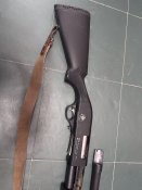 IMG_4519.jpeg