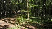 IMG_20240908_154830.jpg