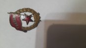 Гвардія
