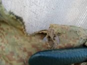 Кацапські штани