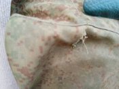 Кацапські штани