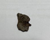 IMG_5587.jpeg