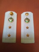 Пагони погранца с Курської республіки.