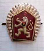 Кокарда Чехословакії (розбірна)