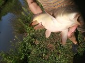 IMG_20240826_141749.jpg
