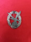 Летный знак FVL