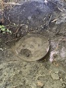 IMG_1197.jpeg