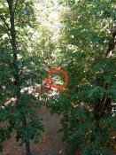 Приціл ПГО-7В2 з ЗІПом для РПГ-7 гранатомету.