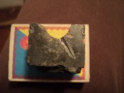 Печатка J. 005.jpg