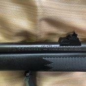 IMG_0138.jpeg