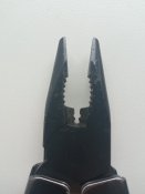 IMG_20240926_081119.jpg
