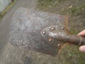 WP_000388.jpg