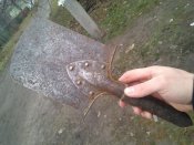 WP_000391.jpg