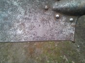 WP_000392.jpg