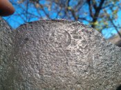 WP_000208.jpg