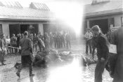 Kovno евреев забили до смерти железными прутьями.jpg
