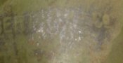 DSC01484.JPG