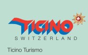 Ремень - резинка "Money belt", Ticino Switzerland.