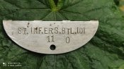 ST. INF.ERS.BTL.101