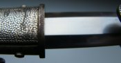 DSC00856.JPG