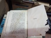 Роман на немецком 1904