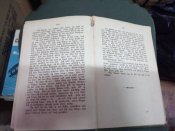 Роман на немецком языке 1894